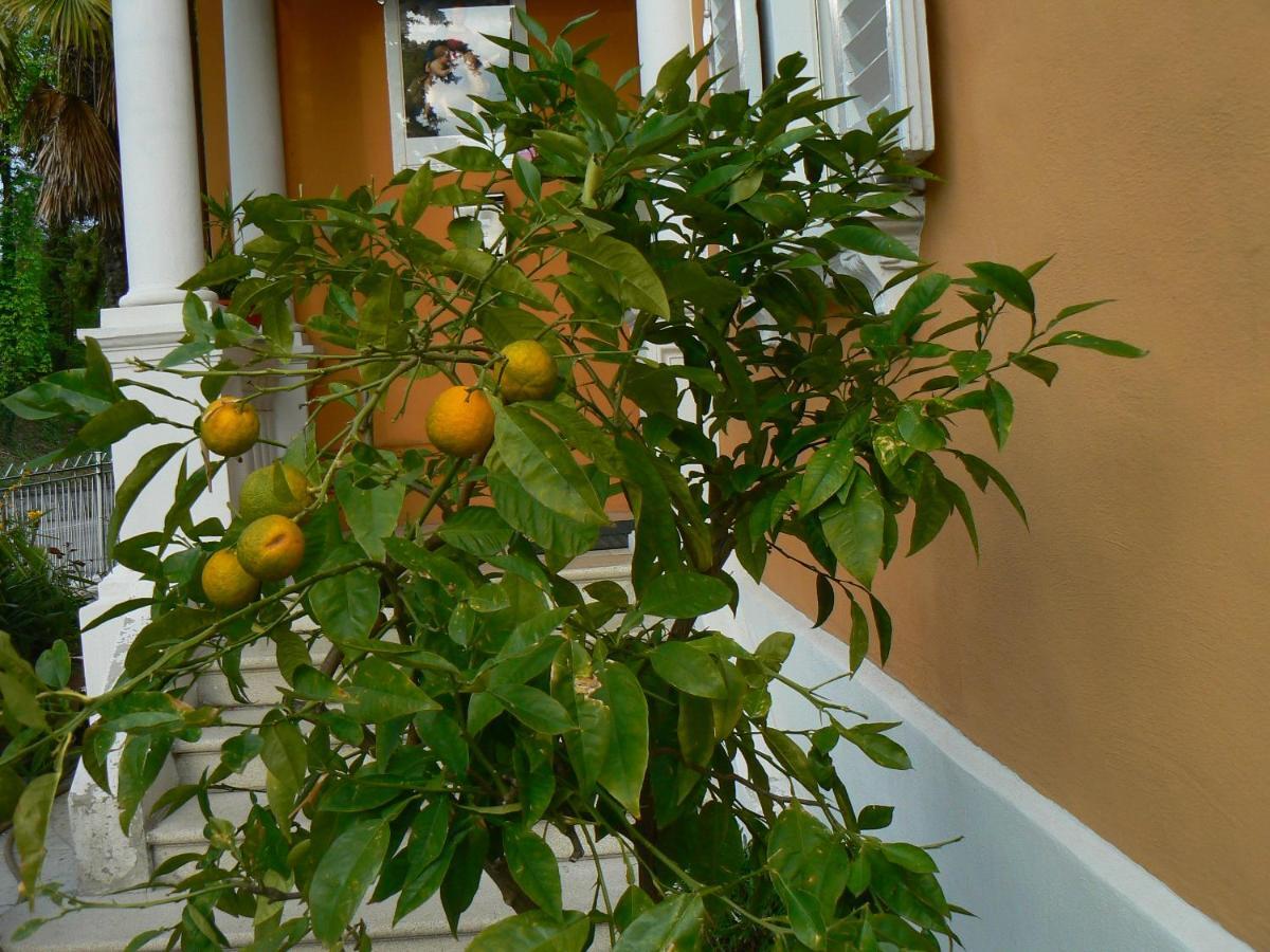 B&B Aquilone Urbino Exteriér fotografie