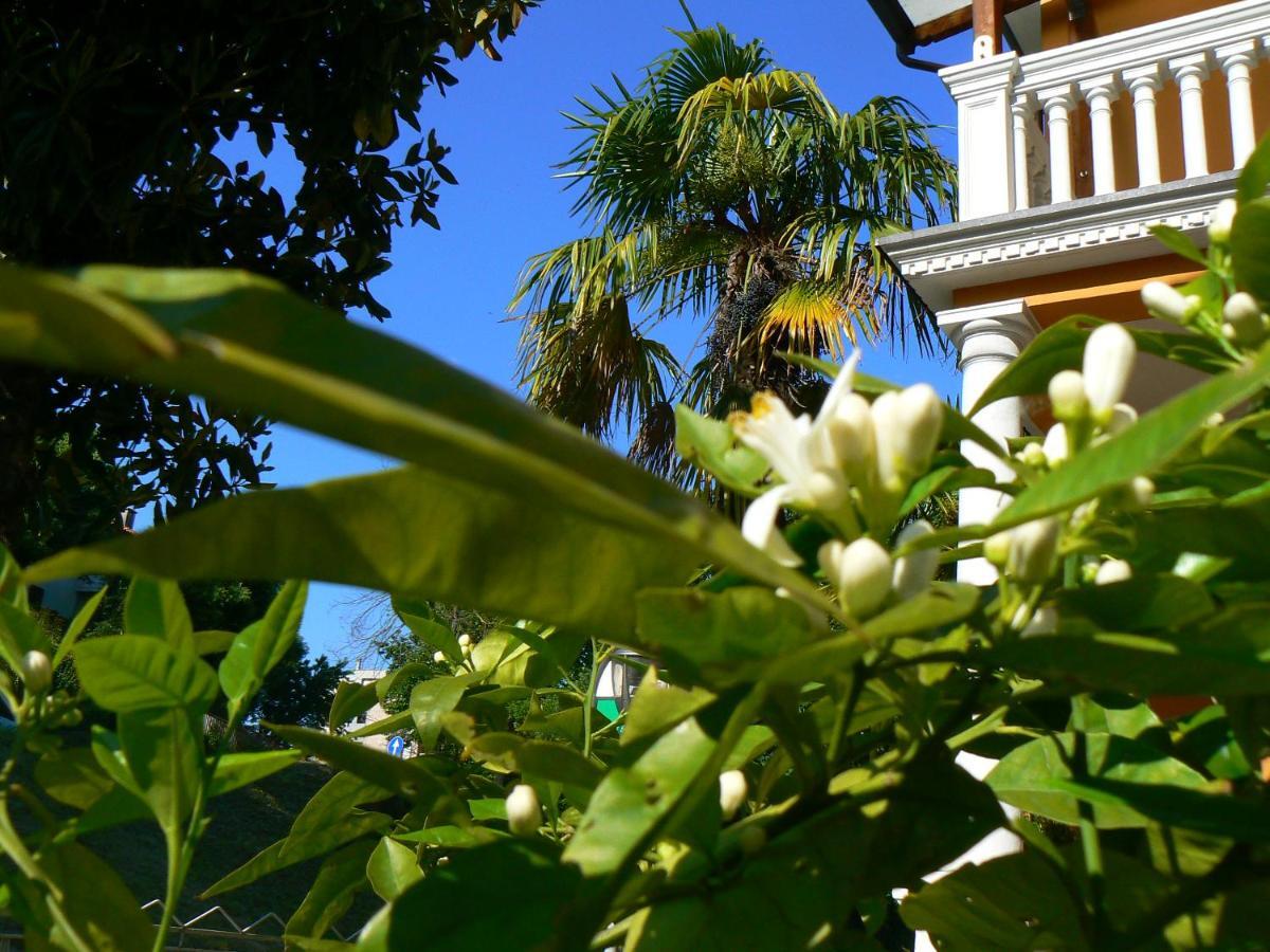 B&B Aquilone Urbino Exteriér fotografie